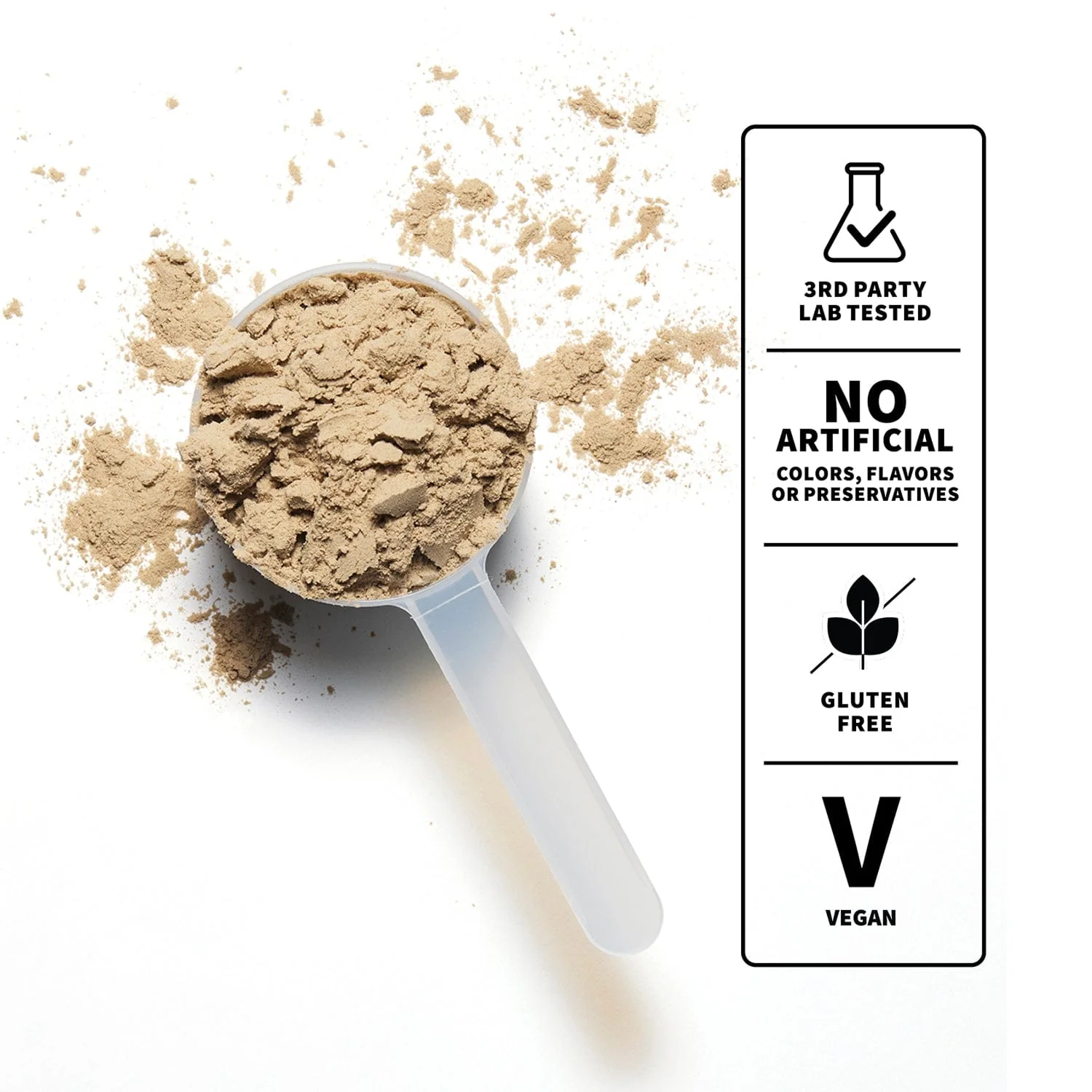 Plant Protein - Image 5